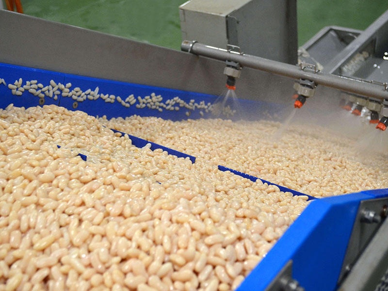 Alubias blancas producción Autor Foods